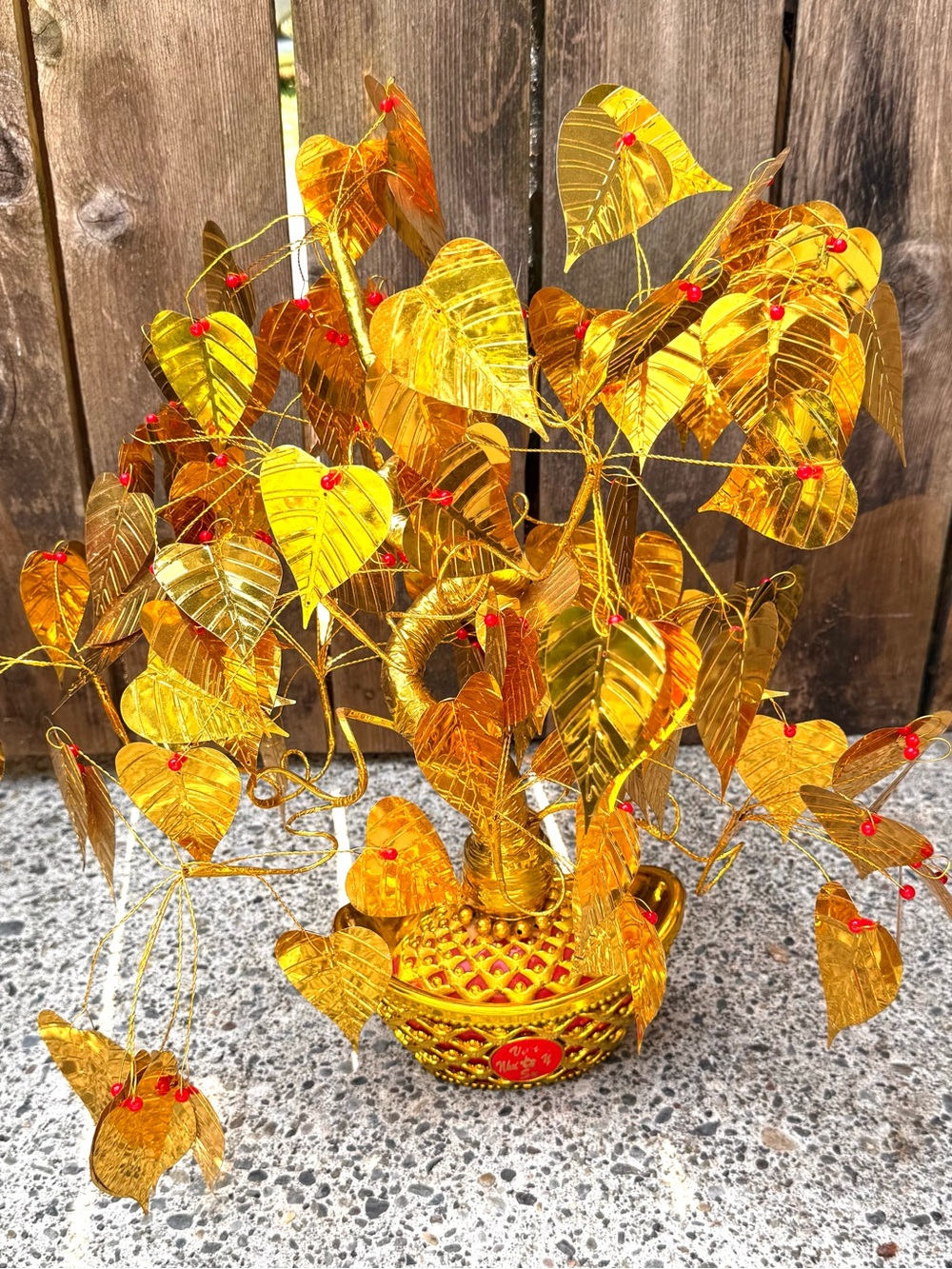 Golden Bodhi Tree Of Enlightenment
Ficus Religiosa Bodhi Peepal